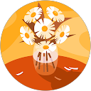 Nora R. profile picture