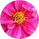 Krupa Patel profile picture